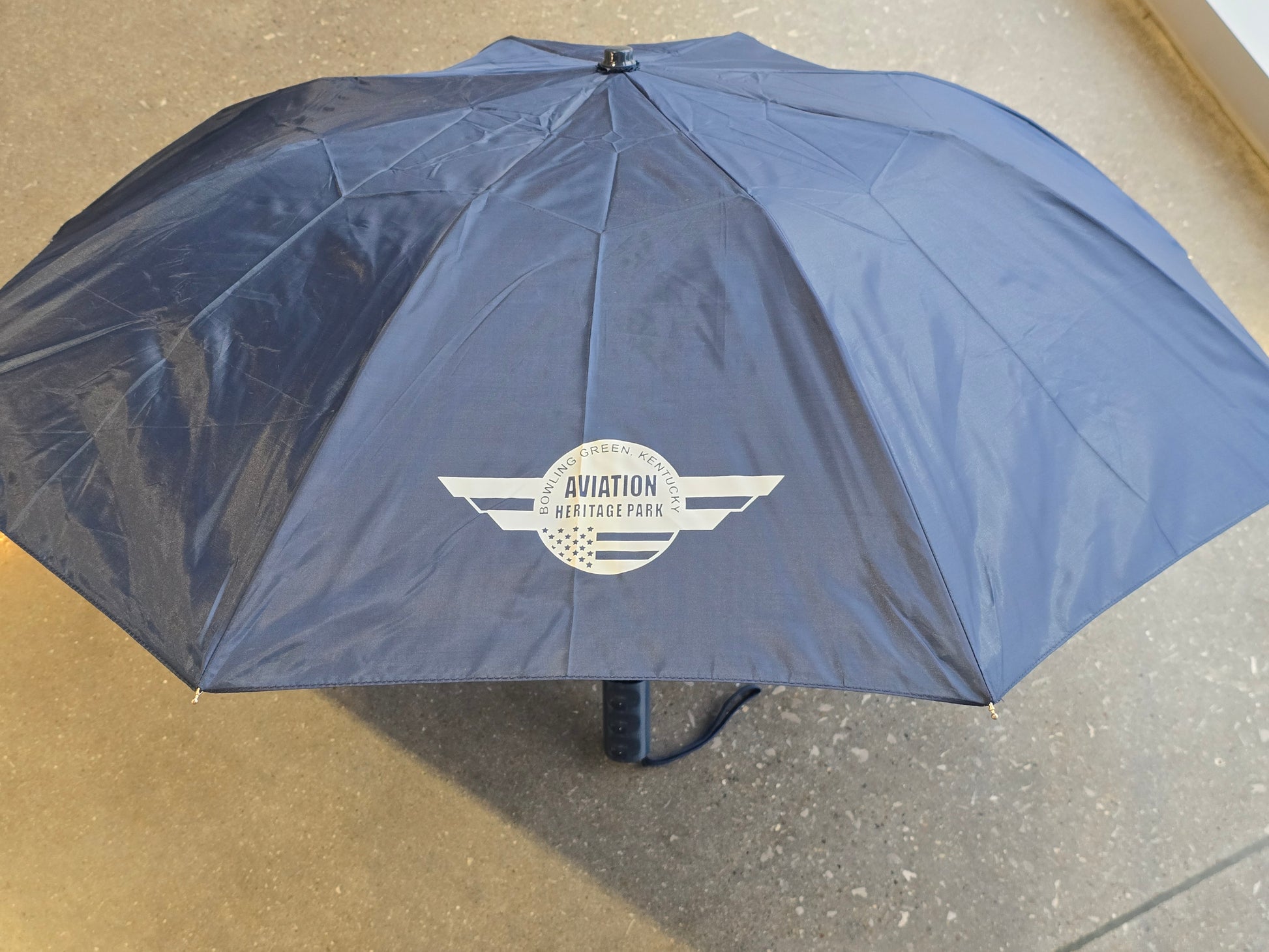 AHP Umbrella